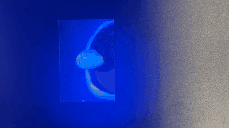 Bioink extrusion test